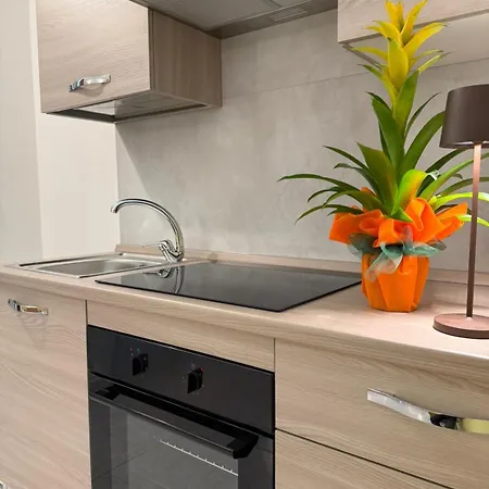 Apartment Con Angolo Cottura Tergu